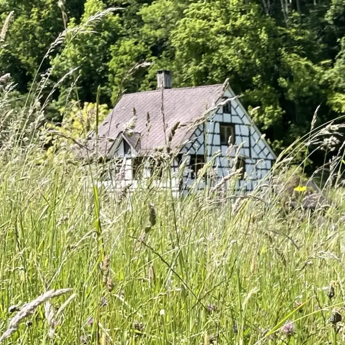 haus tao