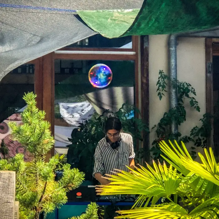 plants, mystic and the dj